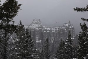 IMG_1221